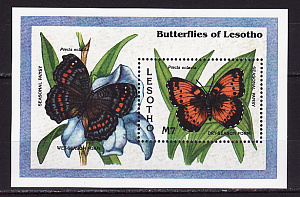 Лесото, 1993, Бабочки, Цветы, блок